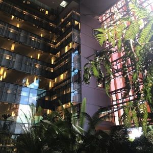 Meet your Posher, Shaina